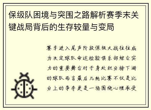 保级队困境与突围之路解析赛季末关键战局背后的生存较量与变局